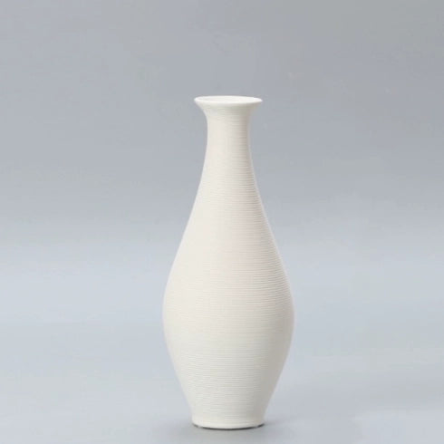 Elegant Porcelain Vase